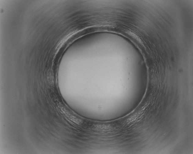 X0000057100927200509301613