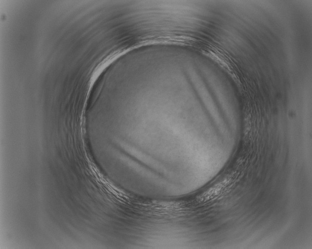 X0000057100928200509301613