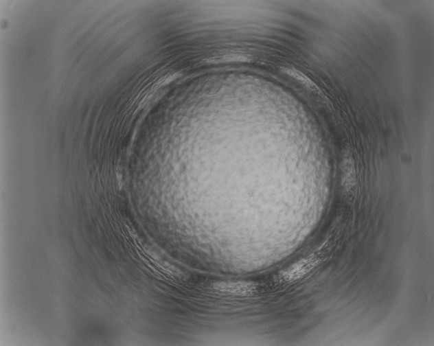 X0000057100929200509301613