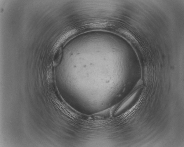 X0000057100930200509301613