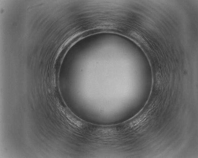 X0000057100931200509301613