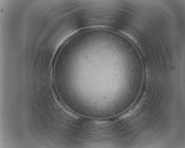 X0000057100933200509301613