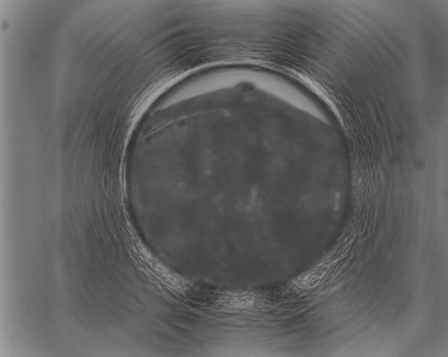 X0000057100935200509301613