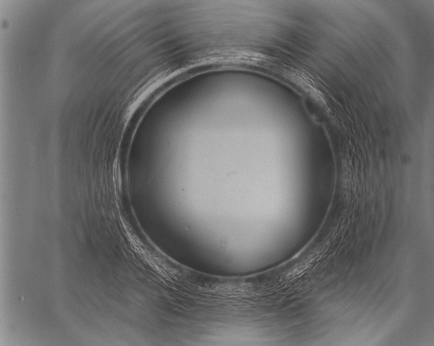 X0000057100936200509301613