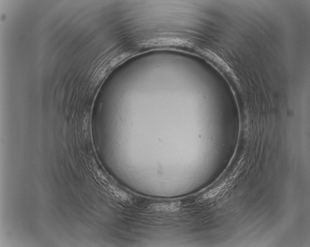 X0000057100937200509301613