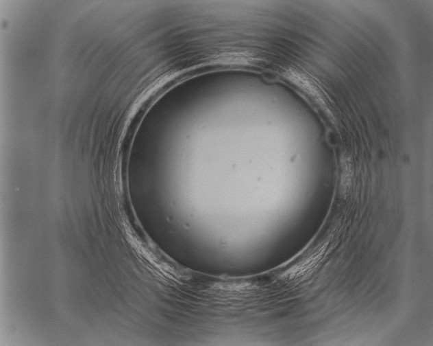 X0000057100939200509301613