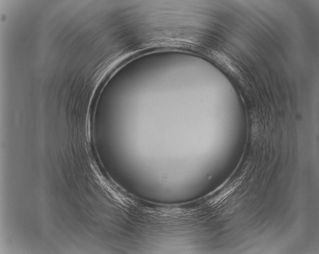 X0000057100940200509301613