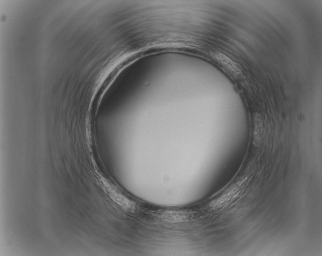 X0000057100942200509301613