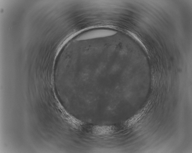 X0000057100943200509301613