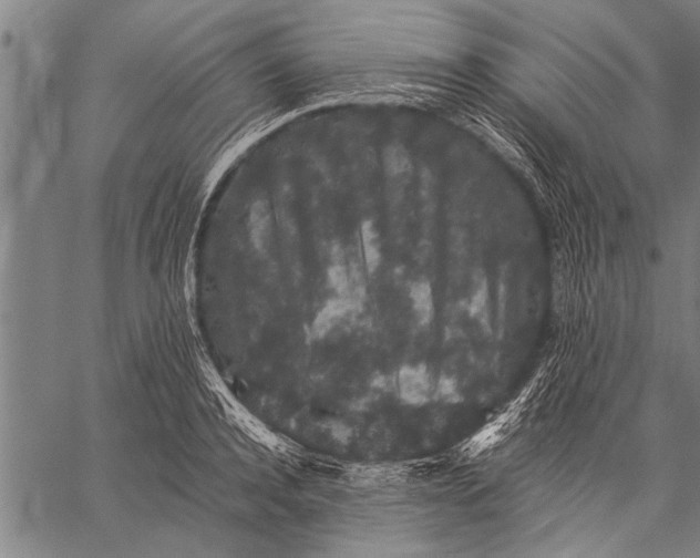 X0000057100944200509301613