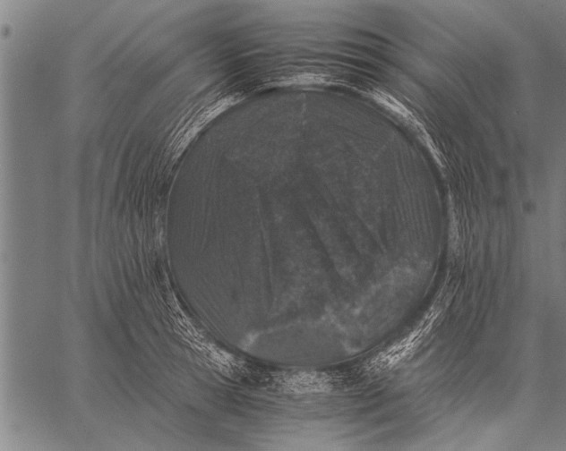 X0000057100945200509301613