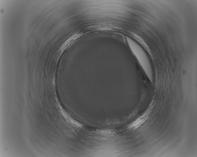 X0000057100946200509301613