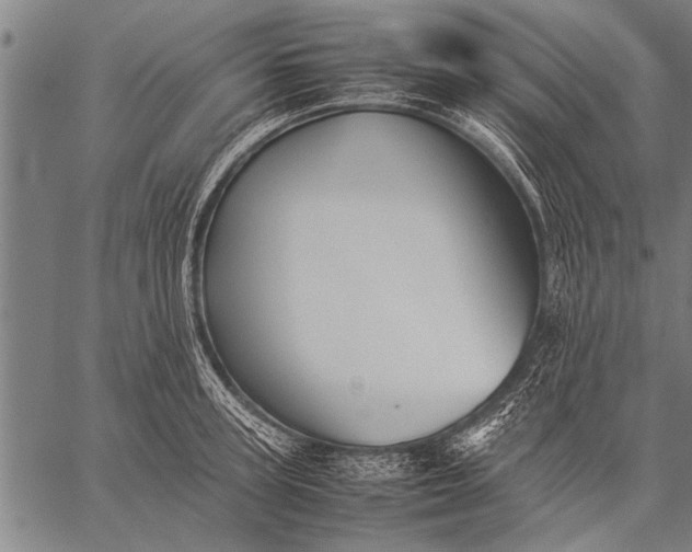 X0000057100947200509301613