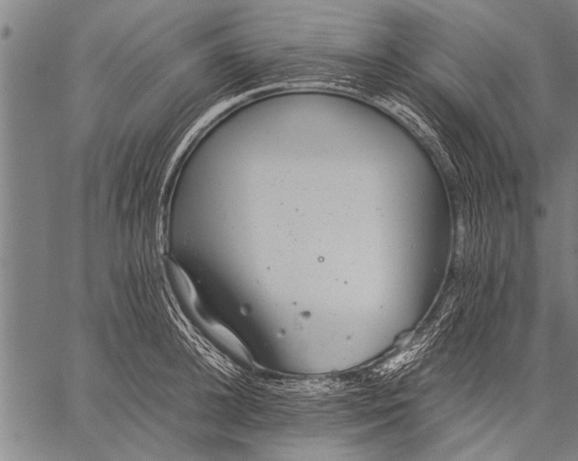 X0000057100948200509301613