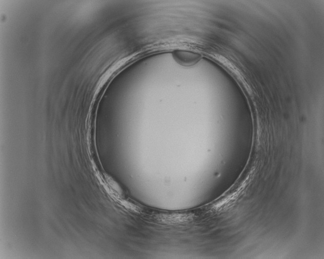 X0000057100949200509301613