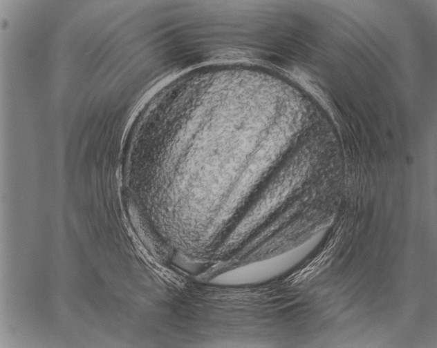 X0000057100951200509301613