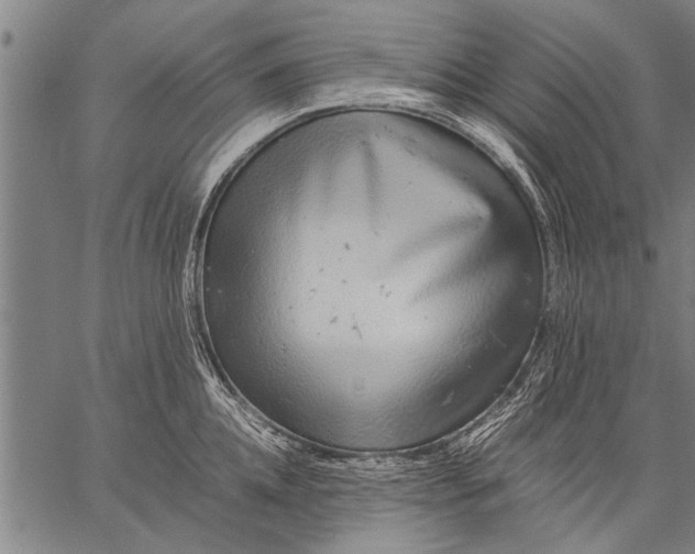 X0000057100952200509301613