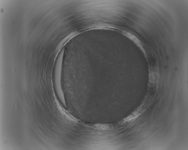 X0000057100954200509301613