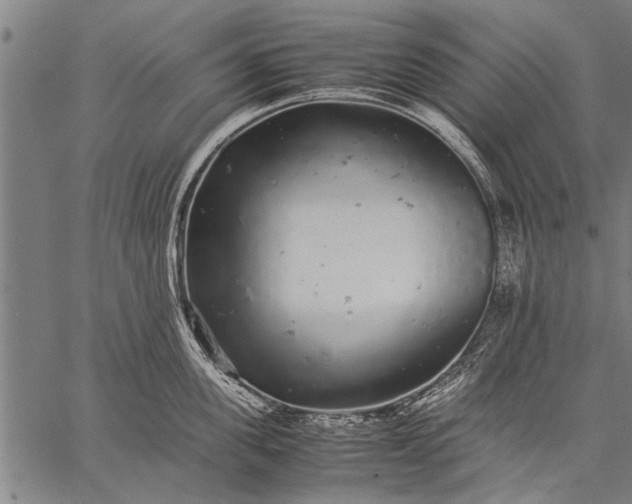 X0000057100955200509301613