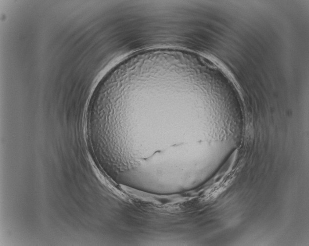 X0000057100957200509301613