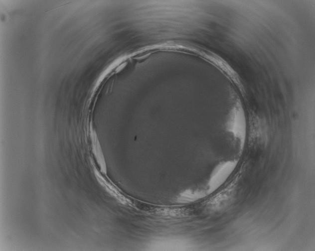 X0000057100958200509301613