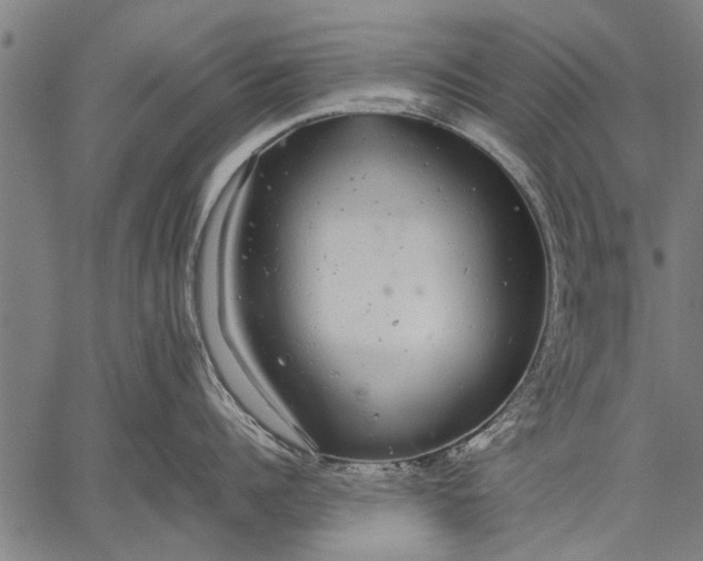 X0000057100960200509301613