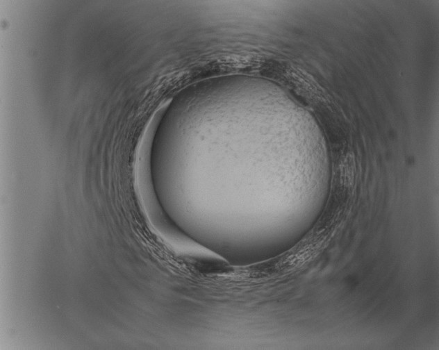 X0000057100961200509301613