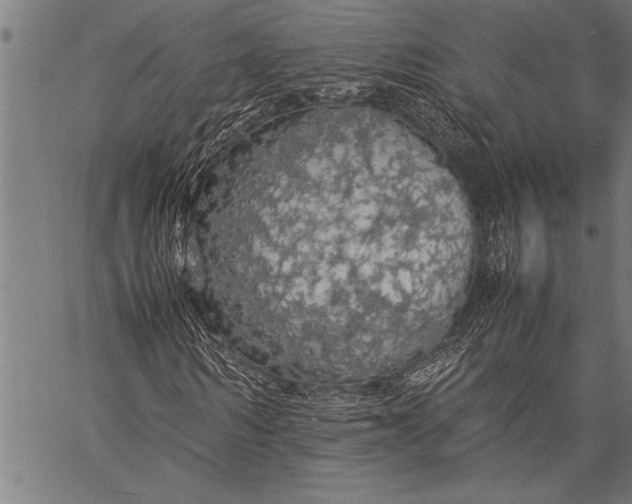 X0000057100962200509301613