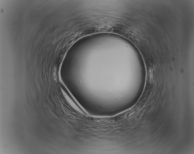 X0000057100963200509301613