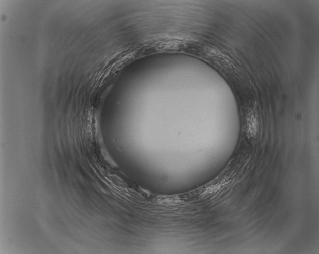 X0000057100964200509301613