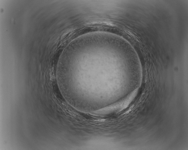 X0000057100965200509301613