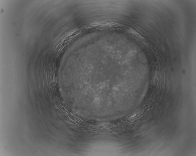 X0000057100966200509301613