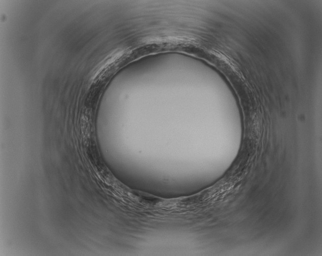 X0000057100967200509301613