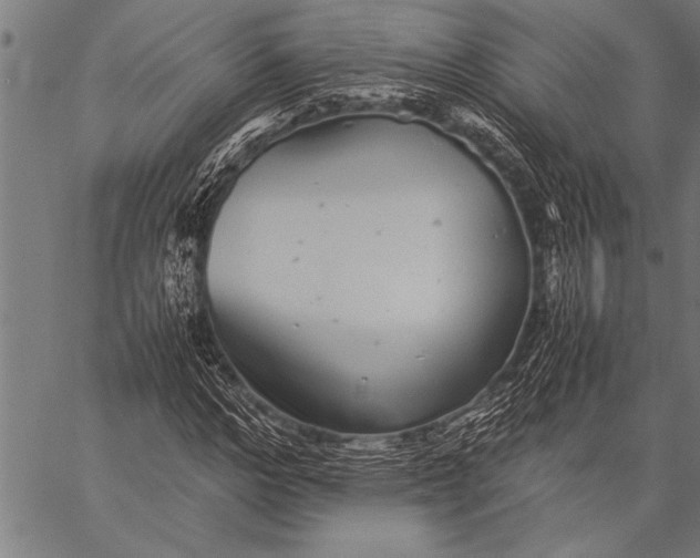 X0000057100968200509301613