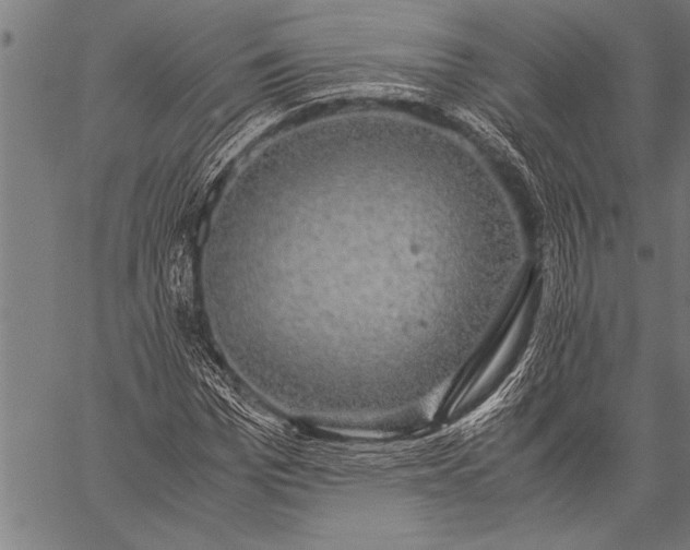 X0000057100969200509301613