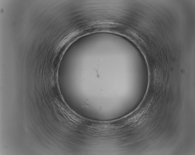 X0000057100970200509301613