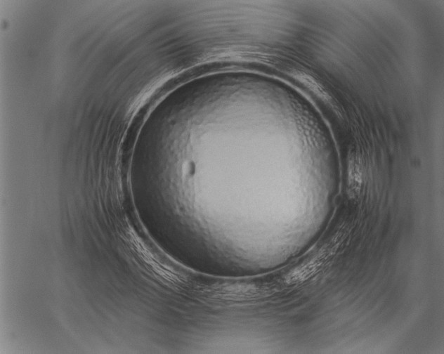 X0000057100972200509301612