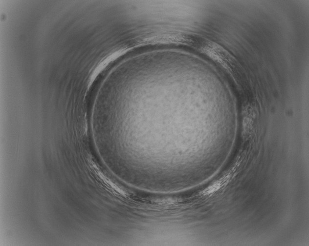 X0000057100973200509301612