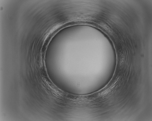 X0000057100974200509301612