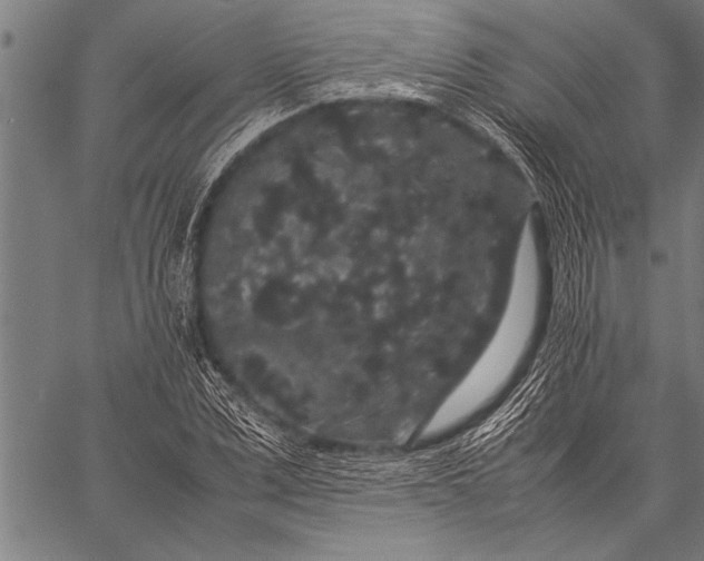 X0000057100975200509301612