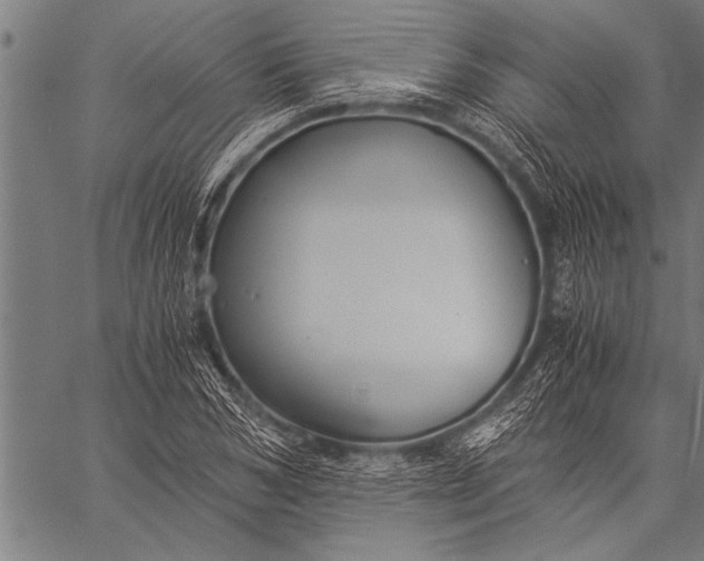 X0000057100978200509301612