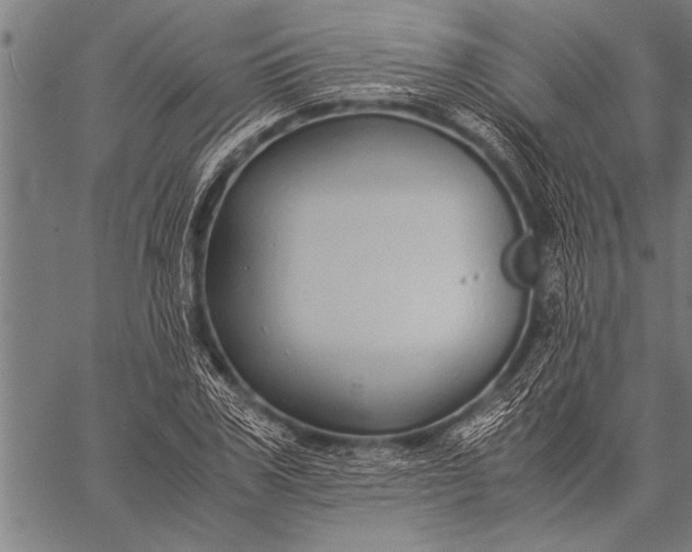 X0000057100979200509301612