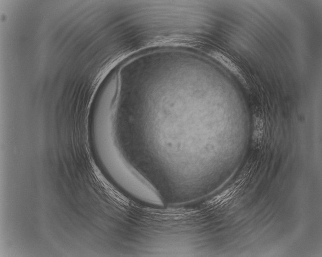 X0000057100980200509301612