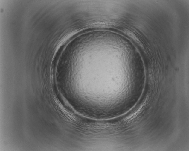 X0000057100981200509301612