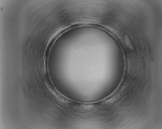 X0000057100982200509301612