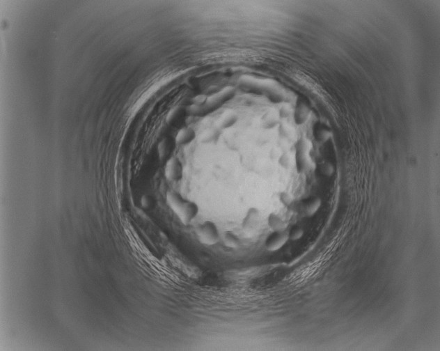 X0000057100983200509301612