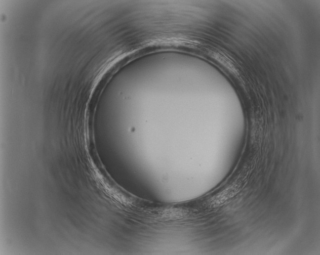 X0000057100984200509301612