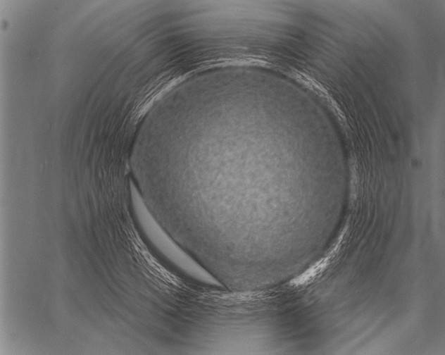 X0000057100985200509301612