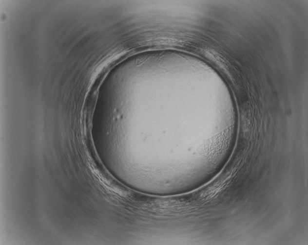 X0000057100987200509301612