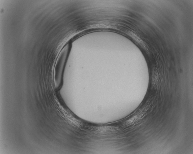 X0000057100988200509301612